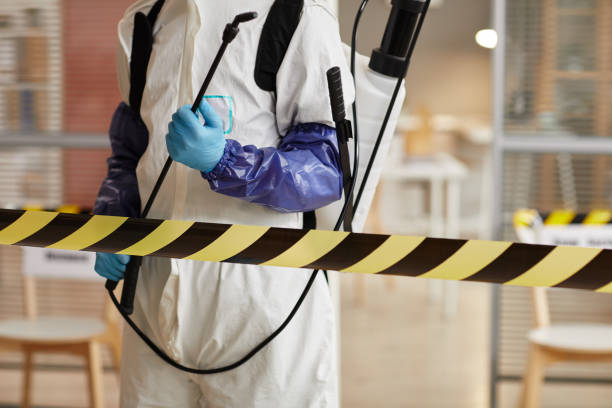 Professional Hoarding Cleanup technician working in Primrose, NE